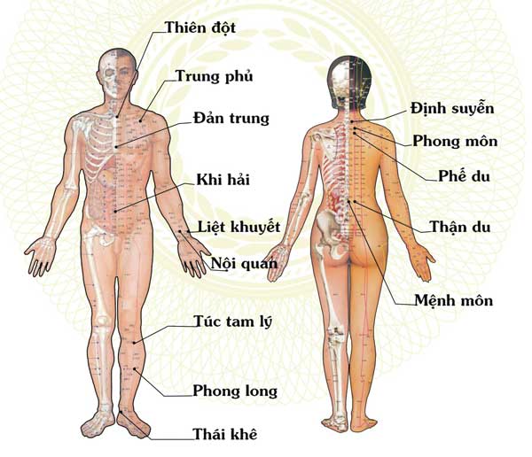 Mục tiêu của đả thông kinh lạc là làm cho năng lượng và dòng chảy của “khi” (tức là năng lượng) trong cơ thể được cân bằng và lưu thông một cách tự nhiên.